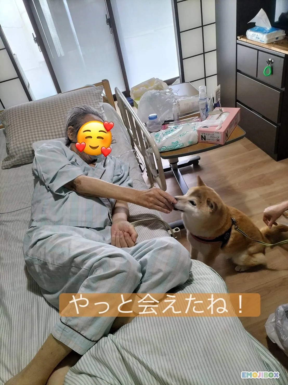【愛犬と過ごすSさん】