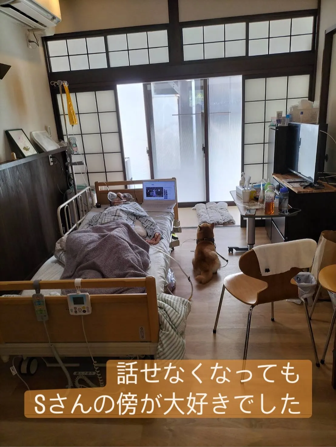 【愛犬と過ごすSさん】